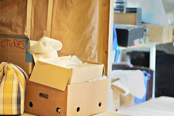 Attic Cleanout Services in Auburndale, FL
